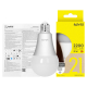 Adviti AD-SW-6638L3